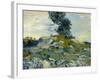 Rocks, 1888-Vincent van Gogh-Framed Giclee Print