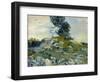 Rocks, 1888-Vincent van Gogh-Framed Giclee Print