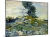 Rocks, 1888-Vincent van Gogh-Mounted Giclee Print