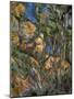 Rocks Above the Caves at Chateau Noir-Paul Cézanne-Mounted Giclee Print