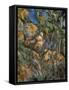 Rocks Above the Caves at Chateau Noir-Paul Cézanne-Framed Stretched Canvas