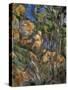 Rocks Above the Caves at Chateau Noir-Paul Cézanne-Stretched Canvas