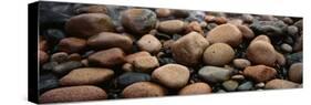 Rocks Acadia National Park ME USA-null-Stretched Canvas