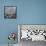 Rocks Against Boulder-Micha Pawlitzki-Framed Stretched Canvas displayed on a wall