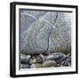 Rocks Against Boulder-Micha Pawlitzki-Framed Premium Photographic Print