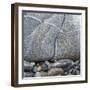 Rocks Against Boulder-Micha Pawlitzki-Framed Photographic Print