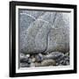 Rocks Against Boulder-Micha Pawlitzki-Framed Photographic Print