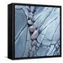 Rocks Against Cracked Boulder-Micha Pawlitzki-Framed Stretched Canvas