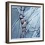 Rocks Against Cracked Boulder-Micha Pawlitzki-Framed Photographic Print