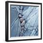 Rocks Against Cracked Boulder-Micha Pawlitzki-Framed Photographic Print