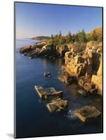 Rocks Along the Coastline in the Acadia National Park, Maine, New England, USA-Rainford Roy-Mounted Photographic Print