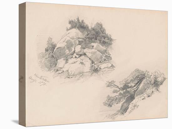 Rocks and Brush, Hintersee, Germany, 1871-John Singer Sargent-Stretched Canvas