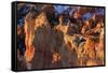 Rocks and Hoodoos Lit by Strong Dawn Light in Winter-Eleanor-Framed Stretched Canvas