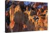 Rocks and Hoodoos Lit by Strong Dawn Light in Winter-Eleanor-Stretched Canvas