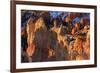 Rocks and Hoodoos Lit by Strong Dawn Light in Winter-Eleanor-Framed Photographic Print