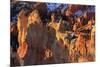 Rocks and Hoodoos Lit by Strong Dawn Light in Winter-Eleanor-Mounted Photographic Print
