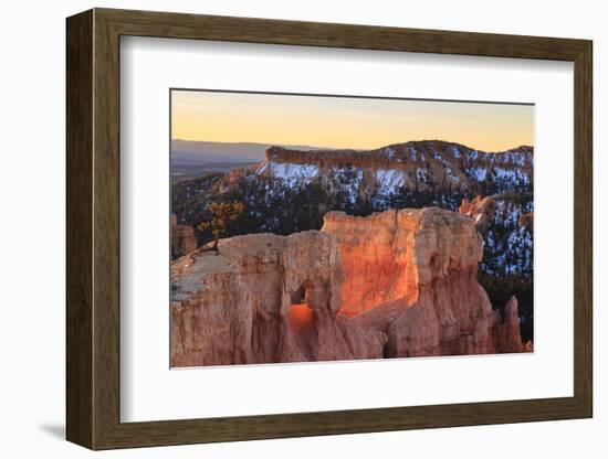 Rocks and Lone Pine Tree Lit by Dawn Light in Winter-Eleanor-Framed Photographic Print