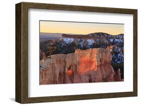 Rocks and Lone Pine Tree Lit by Dawn Light in Winter-Eleanor-Framed Photographic Print