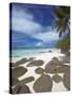 Rocks and Palm Tree on Tropical Beach, Seychelles, Indian Ocean, Africa-Papadopoulos Sakis-Stretched Canvas