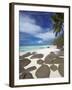 Rocks and Palm Tree on Tropical Beach, Seychelles, Indian Ocean, Africa-Papadopoulos Sakis-Framed Photographic Print