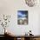 Rocks and Palm Tree on Tropical Beach, Seychelles, Indian Ocean, Africa-Papadopoulos Sakis-Mounted Photographic Print displayed on a wall