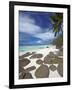 Rocks and Palm Tree on Tropical Beach, Seychelles, Indian Ocean, Africa-Papadopoulos Sakis-Framed Photographic Print