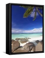 Rocks and Palm Tree on Tropical Beach, Seychelles, Indian Ocean, Africa-Papadopoulos Sakis-Framed Stretched Canvas