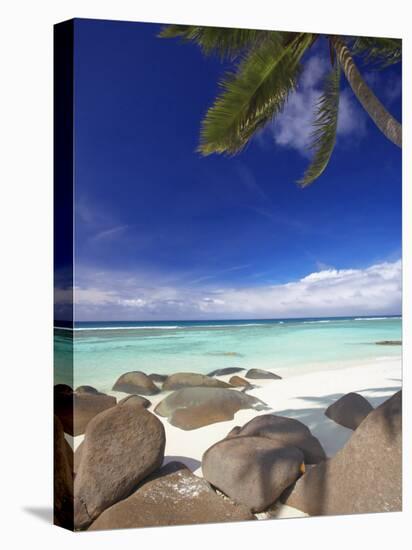 Rocks and Palm Tree on Tropical Beach, Seychelles, Indian Ocean, Africa-Papadopoulos Sakis-Stretched Canvas