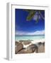 Rocks and Palm Tree on Tropical Beach, Seychelles, Indian Ocean, Africa-Papadopoulos Sakis-Framed Photographic Print