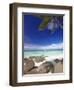 Rocks and Palm Tree on Tropical Beach, Seychelles, Indian Ocean, Africa-Papadopoulos Sakis-Framed Photographic Print
