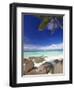 Rocks and Palm Tree on Tropical Beach, Seychelles, Indian Ocean, Africa-Papadopoulos Sakis-Framed Photographic Print