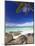 Rocks and Palm Tree on Tropical Beach, Seychelles, Indian Ocean, Africa-Papadopoulos Sakis-Mounted Photographic Print