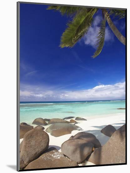 Rocks and Palm Tree on Tropical Beach, Seychelles, Indian Ocean, Africa-Papadopoulos Sakis-Mounted Photographic Print