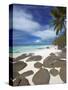 Rocks and Palm Tree on Tropical Beach, Seychelles, Indian Ocean, Africa-Papadopoulos Sakis-Stretched Canvas