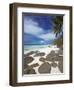 Rocks and Palm Tree on Tropical Beach, Seychelles, Indian Ocean, Africa-Papadopoulos Sakis-Framed Photographic Print