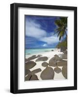 Rocks and Palm Tree on Tropical Beach, Seychelles, Indian Ocean, Africa-Papadopoulos Sakis-Framed Photographic Print