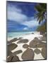Rocks and Palm Tree on Tropical Beach, Seychelles, Indian Ocean, Africa-Papadopoulos Sakis-Mounted Photographic Print