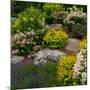 Rocks and plants in Rock Garden, Knowlton, Quebec, Canada-null-Mounted Photographic Print