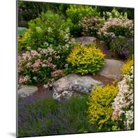 Rocks and plants in Rock Garden, Knowlton, Quebec, Canada-null-Mounted Photographic Print