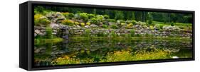 Rocks and plants in Rock Garden, Knowlton, Quebec, Canada-null-Framed Stretched Canvas