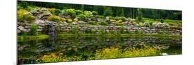 Rocks and plants in Rock Garden, Knowlton, Quebec, Canada-null-Mounted Premium Photographic Print