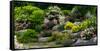 Rocks and plants in Rock Garden, Knowlton, Quebec, Canada-null-Framed Stretched Canvas