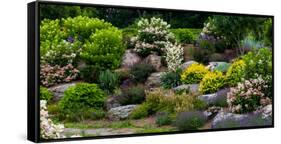 Rocks and plants in Rock Garden, Knowlton, Quebec, Canada-null-Framed Stretched Canvas