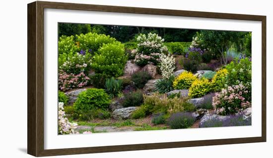 Rocks and plants in Rock Garden, Knowlton, Quebec, Canada-null-Framed Photographic Print