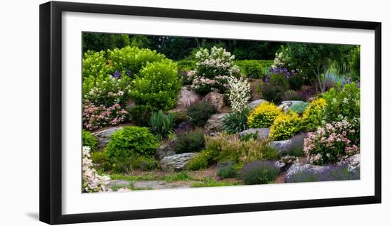 Rocks and plants in Rock Garden, Knowlton, Quebec, Canada-null-Framed Photographic Print