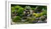 Rocks and plants in Rock Garden, Knowlton, Quebec, Canada-null-Framed Photographic Print