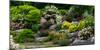 Rocks and plants in Rock Garden, Knowlton, Quebec, Canada-null-Mounted Photographic Print