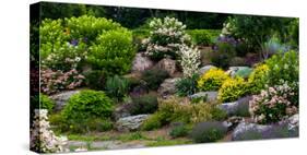 Rocks and plants in Rock Garden, Knowlton, Quebec, Canada-null-Stretched Canvas