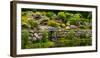 Rocks and plants in Rock Garden, Knowlton, Quebec, Canada-null-Framed Photographic Print