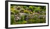 Rocks and plants in Rock Garden, Knowlton, Quebec, Canada-null-Framed Photographic Print